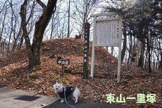 131208-k5.jpeg