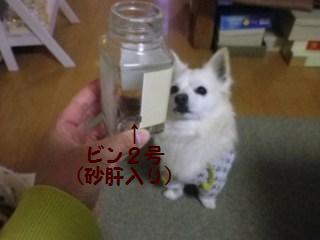 131209-2.jpg