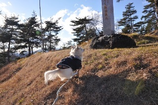131215-k2.jpeg