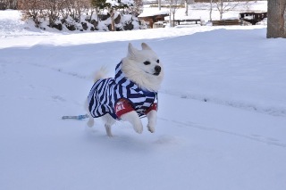 131222-k1.jpeg