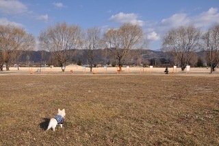 131231-k3.jpeg