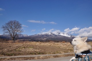 140104-k1.jpeg