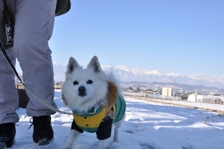 140112-k2.jpeg
