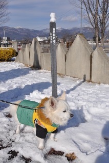 140112-k4.jpeg
