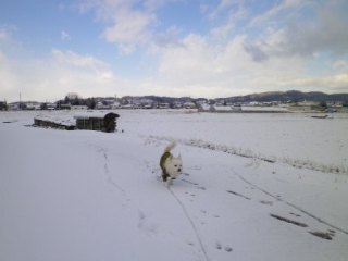 140113-2.jpg