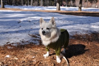 140113-k2.jpeg