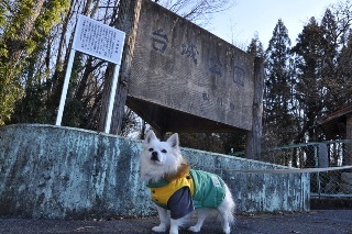 140113-k5.jpeg