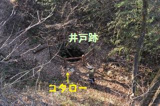 140113-k8.jpeg