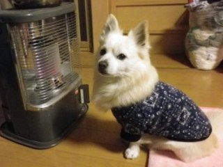 140117-2.jpg