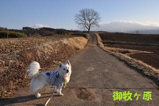 140202-k4.jpeg