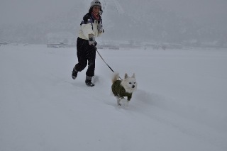 140208-k4.jpeg