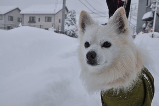 140208-k6.jpeg