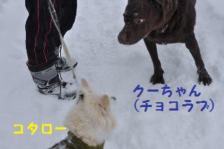 140208-k7.jpeg