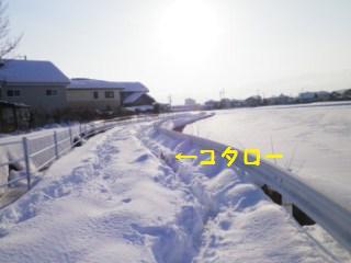 140217-3.jpg
