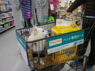 140223-1.jpg