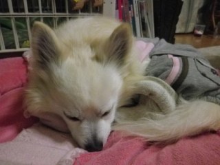 140306-4.jpg