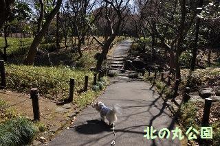 140308-k3.jpeg