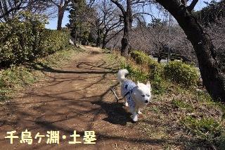 140308-k4.jpeg