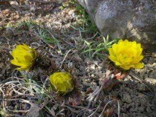 140312-1.jpg