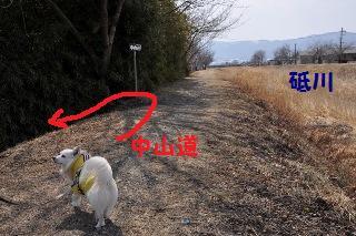 140316-k5.jpeg