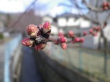 140321-1.jpg