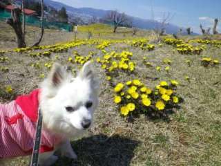 140323-1.jpg