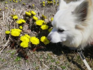 140323-2.jpg