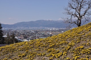 140323-k10.jpeg