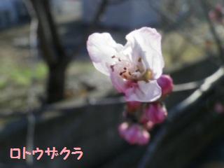 140325-1.jpg