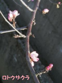 140325-3.jpg