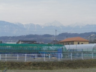 140326-1.jpg