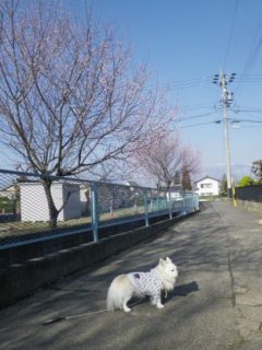 140328-1.jpg