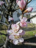 140328-2.jpg