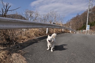 140329-k15.jpeg
