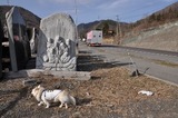 140329-k17.jpeg