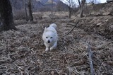 140329-k23.jpeg