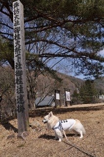 140329-k4.jpeg