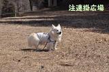 140329-k5.jpeg