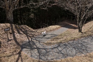 140329-k8.jpeg
