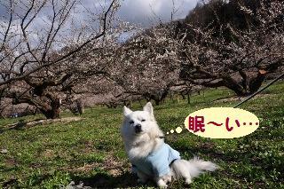 140406-k10.jpeg