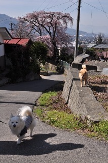 140412-k8.jpeg