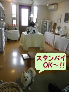 140418-1.jpg