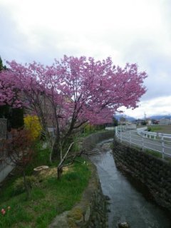 140421-1.jpg
