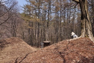 140426-k11.jpeg