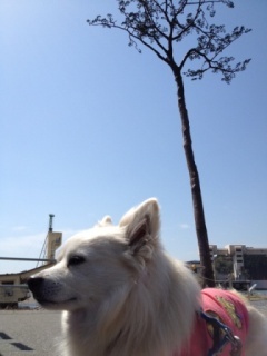140504-ki1.jpg