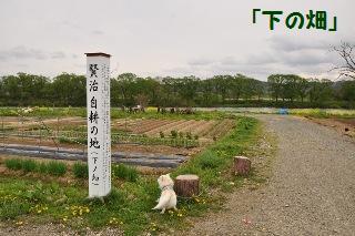 140505-k10.jpeg