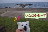 140506-k3.jpeg