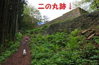 140506-k9.jpeg