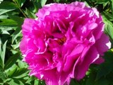 140508-3.jpg