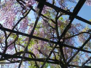 140508-6.jpg